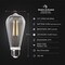 Feit Electric Feit ST19 E26 (Medium) LED Motion Activated Bulb Soft White 60 Watt Equivalence 1 pk ST19C927CAMFILD - alternate 4